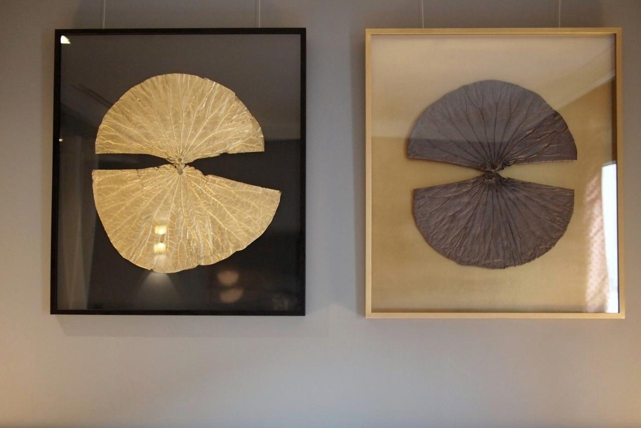 Double Lotus - 2015 2016